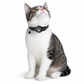 🐾 50% RABATT! ✨ Reflexhalsband för Katt med Vattentät Hållare för Smart GPS-Tracker & Säkerhetsspänne 📍