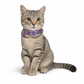 🐾 50% RABATT! ✨ Reflexhalsband för Katt med Vattentät Hållare för Smart GPS-Tracker & Säkerhetsspänne 📍