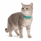 🐾 50% RABATT! ✨ Reflexhalsband för Katt med Vattentät Hållare för Smart GPS-Tracker & Säkerhetsspänne 📍