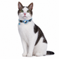 🐾 50% RABATT! ✨ Reflexhalsband för Katt med Vattentät Hållare för Smart GPS-Tracker & Säkerhetsspänne 📍
